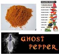 10g piment bhut jolokia ghost pepper en poudre le plus fort du monde