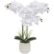 Atmosphera - Orchidée artificielle Riva H60cm blanc créateur d'intérieur