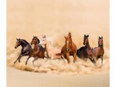 Horses, rideau imprimé 6 magnifiques chevaux qui courent