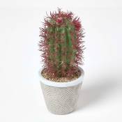 Petit Cactus artificiel Ferocactus en pot motif géométrique 25 cm - Vert et Rouge - Homescapes