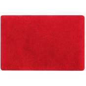 Spirella - tapis de bain microfibre fino 60X90CM rouge