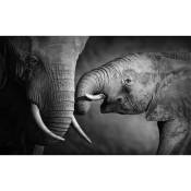 Affiche tendresse maman elephant , 60x40cm - made in France - Noir