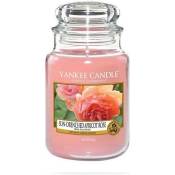 BOUGIE PARFUMEE GRANDE JARRE ROSE SUCCULENTE - YANKEE CANDLE