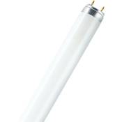 Greenice - Tube fluorescent traditionnel Ledvance/Osram T8 G13 18W 1250Lm 6500K variable
