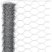 Grillage m�tallique hexagonal 0,5x2,5 m 25 mm Acier galvanis� - Nature