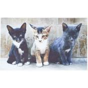 Homescapes - Paillasson imprimé chats en pvc, 76 x 45 cm - Imprimé