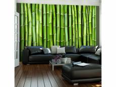 Papier peint mur vert bambou 2 l 300 x h 231 cm A1-XXLFTNT0928