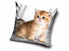 Taie d'oreiller chat 40 x 40 cm coussin