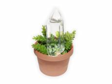 Cristal irrigant pour plantes