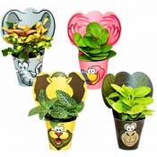 Ensemble de plantes d'intérieur amusantes 'Animaux' - 4 plantes avec des animaux - idéal comme cadeau pour les anniversaires d'enfants - Exotenherz
