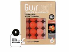 Guirlande boule lumineuse 24 led voice control - ottoman