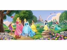 Poster château et princesses disney intisse 202x90 cm