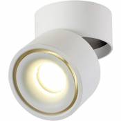12W LED Spots de plafond Plafonnier, Aangle du corps de lampe réglable,Spots lampe,Spots de plafond,Applique de Plafond, spots plafond