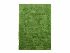 Casa shaggy - tapis à poils longs toucher laineux vert 120x170