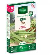 Vilmorin - Graines de Haricot Nain Plat Sorial - 20