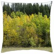 Autumn trees while driving - Throw Pillow Cover Case