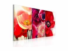 Tableau - coquelicots - trois perspectives-60x40 A1-N2623