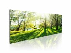 Tableau sur toile décoration murale image imprimée cadre en bois à suspendre rayons de soleil 120x40 cm 11_0006211