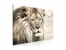 Tableau - the king of beasts (3 parts) beige-90x60