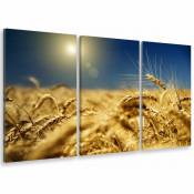 Tableau triptyque deco champs de blé couchant - 90x60 cm