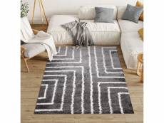 Tapiso evra tapis salon chambre gris foncé blanc géométrique shaggy poils longs 140x200 11380 GREY 1,40*2,00 EVRA