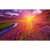 Affiche paysage islande montagne fleuri , 60x40cm - made in France - Violet