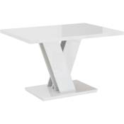 Dusine - table basse malava - blanc laque 100 x 70