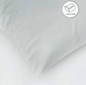 Oreiller Carré Enveloppe Coton Protection - Blanc