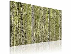 Paris prix - tableau imprimé "forêt de bouleaux" 40 x 60 cm