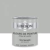Peinture murs plafonds et boiseries Velours de peinture gris sarrazin Liberon 0 5L