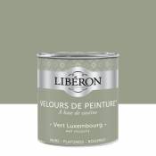 Peinture murs plafonds et boiseries Velours de peinture vert luxembourg Liberon 0 5L