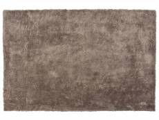 Tapis 200 x 300 cm marron clair evren 184840