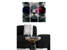 Triptyque fabulosus l70xh50cm motif chat drôle à lunettes polarisées