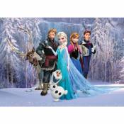 Disney - Affiche La Reine des neiges - 160 x 110 cm de