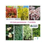 Leaderplantcom - Kit Haie persistante - 7 variétés