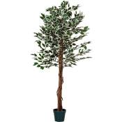 Ficus Benjamini artificiel, tige en bois véritable,