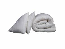 Pack couette hiver 600g 140x200 et oreiller luxe anti-acariens someo