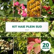 Pepinières Naudet - Kit Haie Plein Sud - 20 Jeunes Plants -
