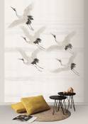 Papier peint panoramique intissé oiseaux 200x280cm