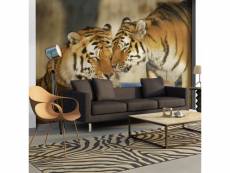 Papier peint tigres : l'amour inconditionnel l 350 x h 270 cm A1-FTNT0945