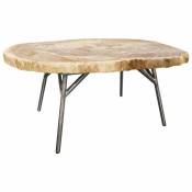 Table basse en bois pétrifié et piètement en métal