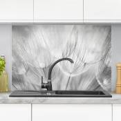 Crédence en verre - Dandelions Macro Shot In Black And White - Paysage 2:3 Dimension: 59cm x 90cm