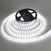 Smd 5050 Cold Light Led Strip With Power Supply 5M