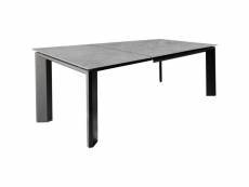 Table extensible 140-200 cm en céramique gris clair