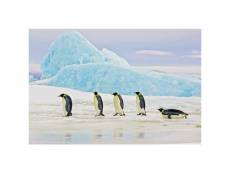 Tableau pingouins - l 120 x l 80 x h 0,4 cm - verre trempé