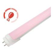 Led-di - Tube led Carnico Pink T8 10w 6cm Profresh
