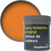Testeur peinture résistante murs boiseries et métal GoodHome orange Valencia mat 50ml
