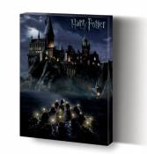 Harry Potter AFWDC92246 Toile Imprimée, Bois Dense, Multicolore, 30 x 40 cm