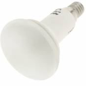 R50 Ampoule LED E14 4W 230VAC lumière blanche - Bematik