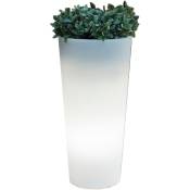 Vase lumineux rond Ficus en polye'thyle'ne rgb lumie're